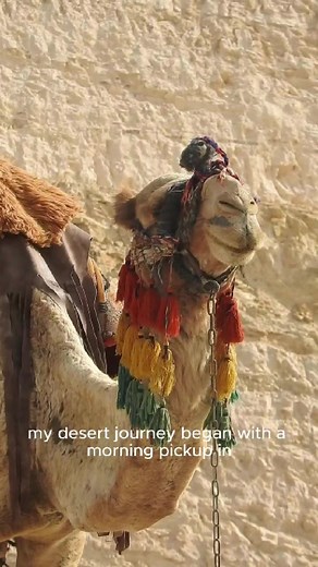 🏝🐫🏜 In an effort to help restore tourism and bring back a small sense of normalcy, I traveled with to Masada, Ein Gedi, and the Dead Sea, capturing the desert beauty of the #holyland - #israel #visitisrael #israelreels #solotravel #deadsea #eingedi #masada #jewishtravel #JewishHeritage #touristisrael | Tourist Israel
