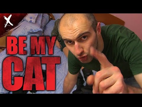 Be My Cat: A Film for Anne (2015) | Disturbing Breakdown and Review