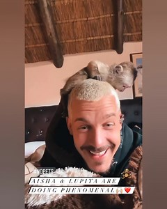 Funny monkeys teasing their dad ft. Dean Schneider 🐒🤯🥰 Monkeys are playing with dean Schneider and are having fun. #monkeys #funny #funnymonkeys #animals #deanschneider #funnypets #petsplaying #monkeysplaying #funnyanimals #wild #wildanimals #cuddle #cuddlingvideos #cuddlingpets #deanschneidermonkeys #entertainment #funnyvideosofanimals #deanschneiderfansforever | Dean Schneider Fans Forever