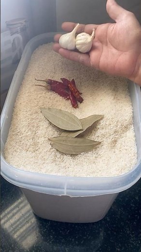 How to store Rice for long time #shortsfeed #food #shorts #rice #gowdnarskitchen #cooking #yt