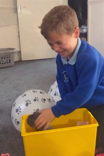 Kids' Heartwarming Reactions to Unexpected Puppy Gift