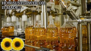 From Sunflower Seeds to Oil: How Sunflower Oil is Made in the Factory