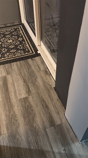 Progress Update: Achievements and Future Goals