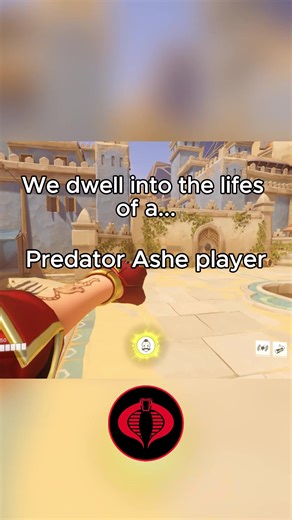 This has been a Cobra production. #ricterfin #cobra #overwatch #fyp #mercy