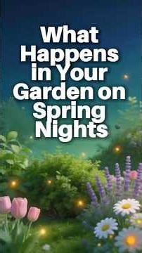 What Happens in Your Garden on Spring Nights