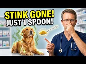 Just ADD 1 Teaspoon of THIS to STOP Your Dog STINKING Smell Forever!