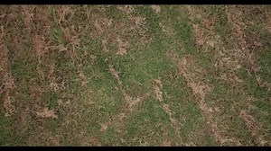 34K views · 790 reactions | Time for an update! | Bell's Amusement Park | Facebook