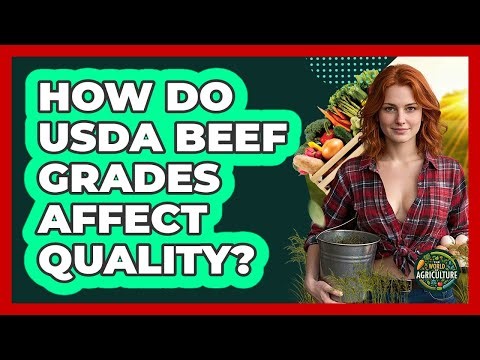 How Do USDA Beef Grades Affect Quality?