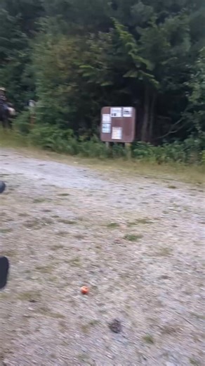 15K views · 217 reactions | Patricia (@on_a_wild_mustang ) is...