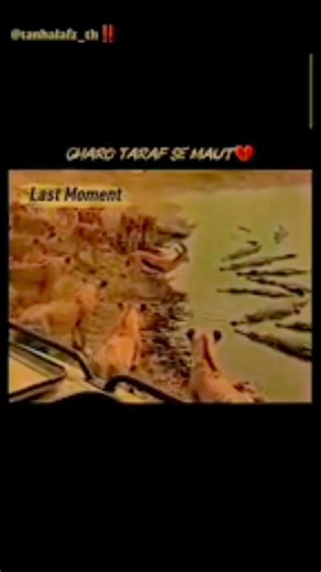 👿dear🦅 is🔥 to help🥰😎#shortvideo #shortviral #shorts