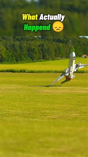 What Was Supposed to Happen vs What Actually happened 😭#rcplanecrash #aviation #short#viral