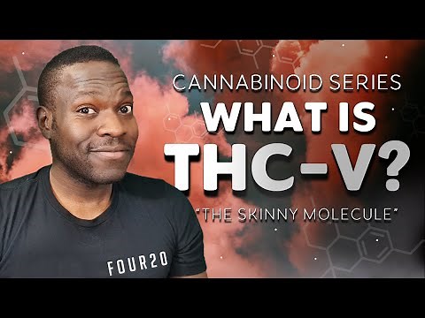 Everything you Need to Know about THCV - Tetrahydrocannabivarin | FOUR20 Cannabinoid Series