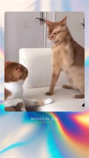 Mohsin Ali - English Coach on Instagram: "Stop Saying “Revert Back” in Emails 🚫 This one email mistake can instantly make you sound unprofessional! Most Indians write — “I’ll revert back to you by evening,” but Mohsin Sir from English Operations explains why it’s totally wrong. Use professional alternatives like: ✔ I’ll get back to you by evening. ✔ I’ll respond by evening. ✔ I’ll update you by evening. Small changes in your English can make a big impact in your career. #MohsinSir #EnglishOpera