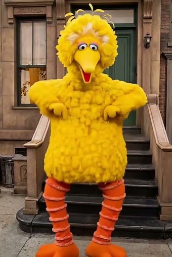 Big Bird hitting the Ritz like it’s 1983. #fyp #viral
