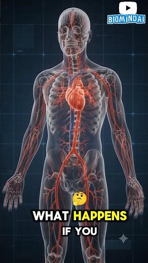 🩸 What Happens If You Lose Too Much Blood?