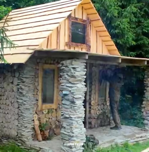495K views · 7.9K reactions | Building log cabin in the forest under the big tree | Boston Yayuka | Facebook