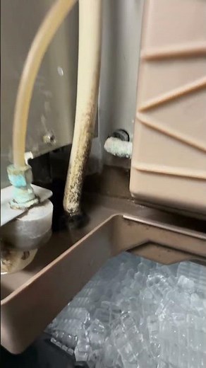 Dirty ice machine could be making you sick. Verify the machine is clean or “no ice please”.