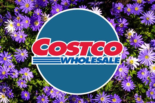 Costco’s Newest Finds Are Flying Off Shelves — Here Are 7 to Grab Now