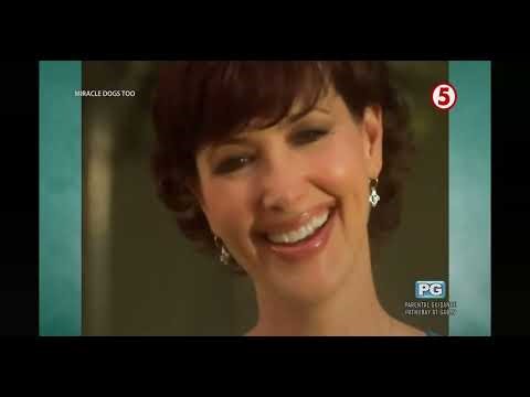 TV5 - Miracle Dogs Too Ending + Continuity to Cool Dog (April 4, 2026)