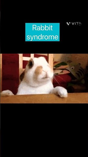Rabbit syndrome 🐰🐇#shorts #medicine #neurology