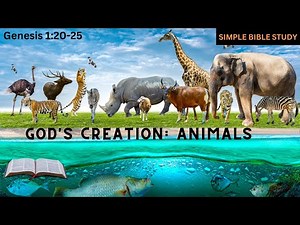 Genesis 1:20-25: God's Creation - Animals | Simple Bible Study