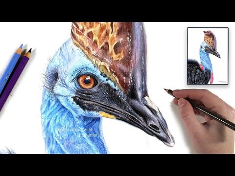 Drawing BLUE skin in colored pencil?! | REAL TIME tutorial