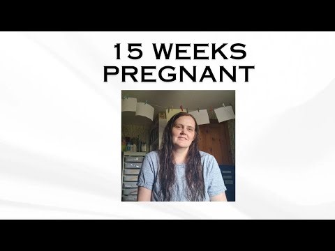 15 WEEKS PREGNANCY UPDATE/HEARING THE HEARTBEAT/SEEING MOVEMENT/ODD MIDWIFE APPOINTMENT