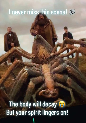 It doesn’t matter what I’m doing, I will always stop and watch this scene! 😭🤣 #harrypotter #harrypottertiktok #aragog #afol #harrypottermovies