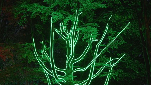 🎃 Are you looking for a scarily good time this Halloween? 🎃 The Trafford Trails are OPEN 👀 and there's no better time to come and visit them than this Halloween week. If you're looking for marshmallow toasting, delicious food from Freight Island, and some family fun 👉 you NEED to visit! For more information or to book your tickets, please visit https://www.thetraffordtrails.co.uk/halloween | The Trafford Centre