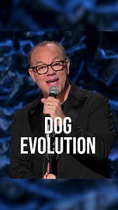 Dogs have it made | Tom Papa