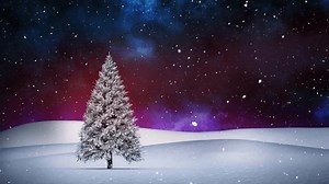 Animation Christmas Tree Snow Falling Aurora Stock Footage Video (100% Royalty-free) 1110001035 | Shutterstock