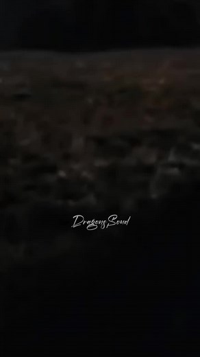 Lost Control - Alan Walker 👑🤗 #fyp #parati