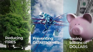 39K views · 103 reactions | We must plan today, to prevent the fires...