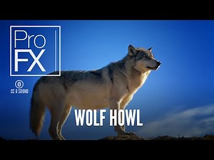 Wolf howl sound effect | ProFX (Sound, Sound Effects, Free Sound Effects)