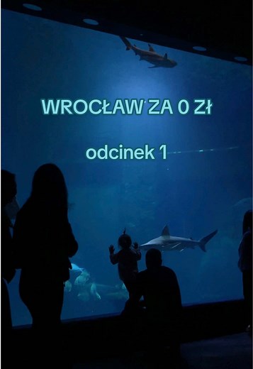 Jak odwiedzić ZOO Wrocław za 0 zł?