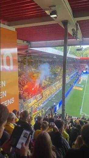 BVB 09 Fans AwayDays