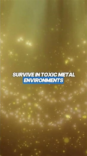 “This Bacteria Poops Pure Gold! 🦠✨ You Won’t Believe It!”