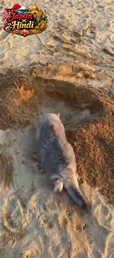 #fypシ #1millionaudition #videoviral #reelsindia #shortsvideo