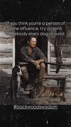 Hawken Horse | #backwoodswisdom | Instagram