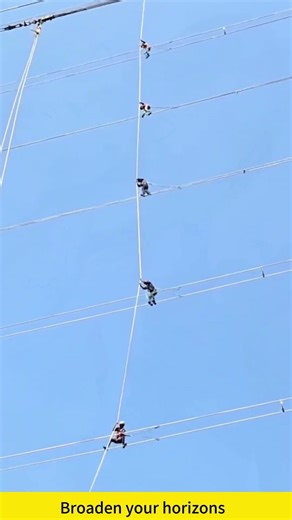 High voltage power line maintenance and installation process