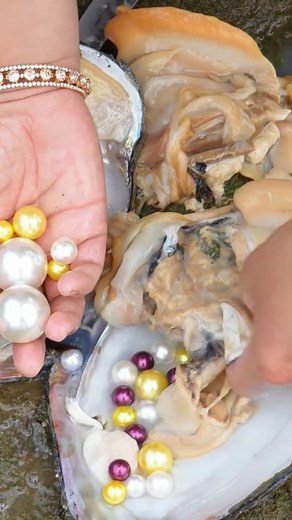 A Rural Girl's Wilderness Dig Uncovers a Bizarre Clam, Which Turns Out to Hold a Precious Pearl #pearl #pearls #gems #gemstones #reels | Hai jiang