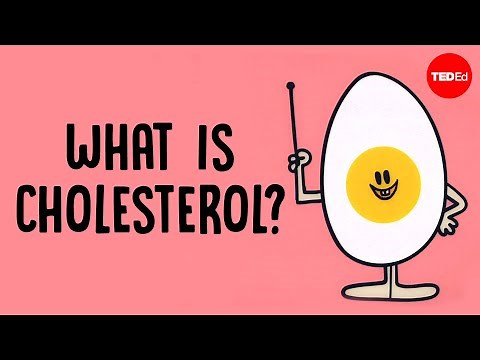 What actually causes high cholesterol?