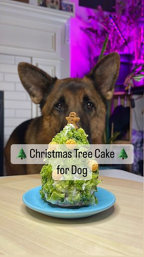 4.5K views · 27 reactions |  Christmas Tree Cake for Dogs | WATCH...
