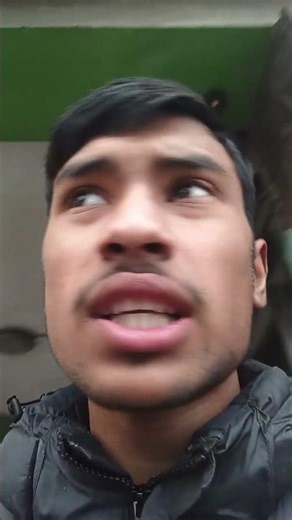 Darjeeling Batasia loop today rain fall