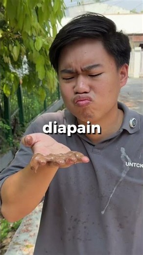 Don't waste food