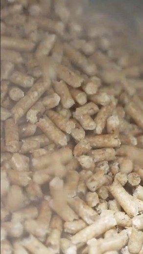 The Pellet Manufacturing Process