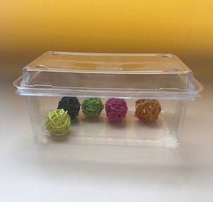 [Hot Item] Disposable Plastic Food Container Tray Fruit Vegetable Clamshell Packaging Box
