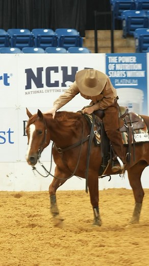 NCHA on Instagram: "Relive the moment! 👑 Watch as Connor Southworth and Flashen Stevee deliver a gritty 2️⃣2️⃣0️⃣ to clinch the @mcalisterassets Amateur Super Stakes Derby championship at the 2025 NCHA @nrrcatkingcole Super Stakes presented by @beechforkranch CONGRATULATIONS once again to this star duo 🌟 #ncha #nchacutting #nchastrong #nchafamily #nchasuperstakes #willrogers #fortworth #cuttinghorse #cuttinghorses #cuttinghorseshow #thisishowiwestern #yournewlifestyleawaits"