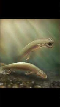 Creature of the Day: Tiktaalik #evolution #prehistoric