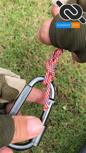 How to Tie a Unique Knot You’ve Never Seen #knotshort | KNOT SHORT